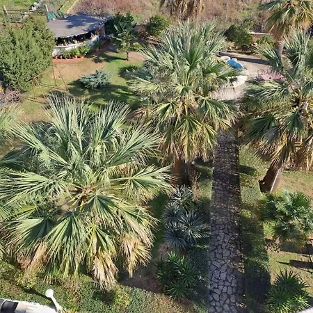 Megi فندق